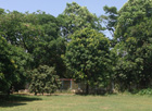 Jammu & Kashmir House, Chandigarh